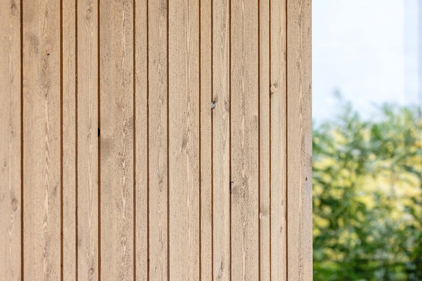 wh-birkengasse-aussicht-detail-holzfassade